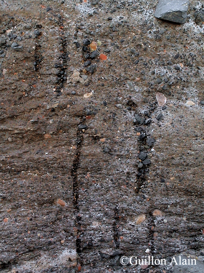 Photo 20 et fig. 11 – Conduits d’évacuation des fluides dans la couche perturbée de tufs gris de la plage de la Conque (Alain Guillon).