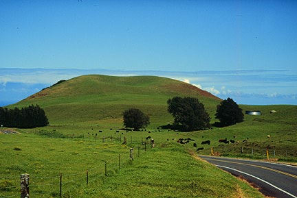 Kohala_c.jpg (30747 octets)