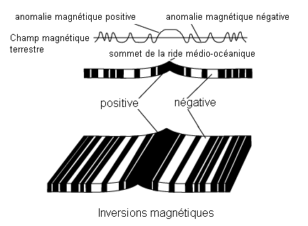 F01_12a.gif (9475 octets)