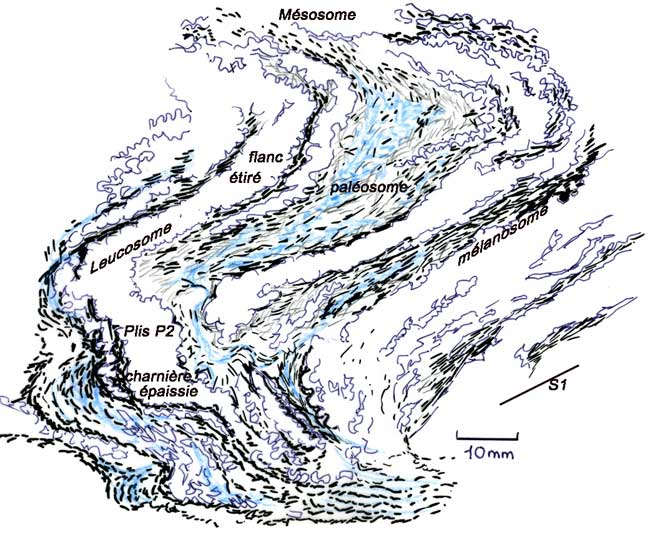 Migmatite Interprétation