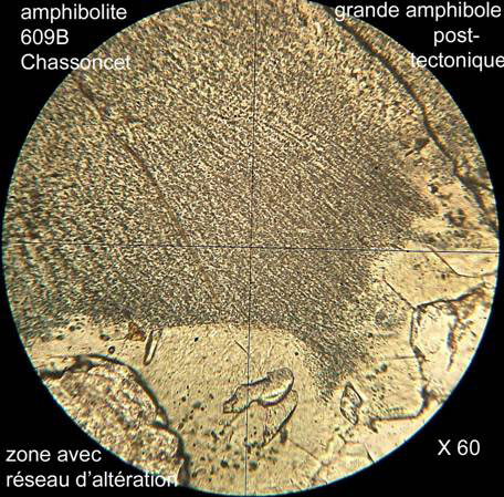 grano-lépidoblastique