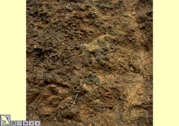 Gdfond36.jpg (100638 octets)